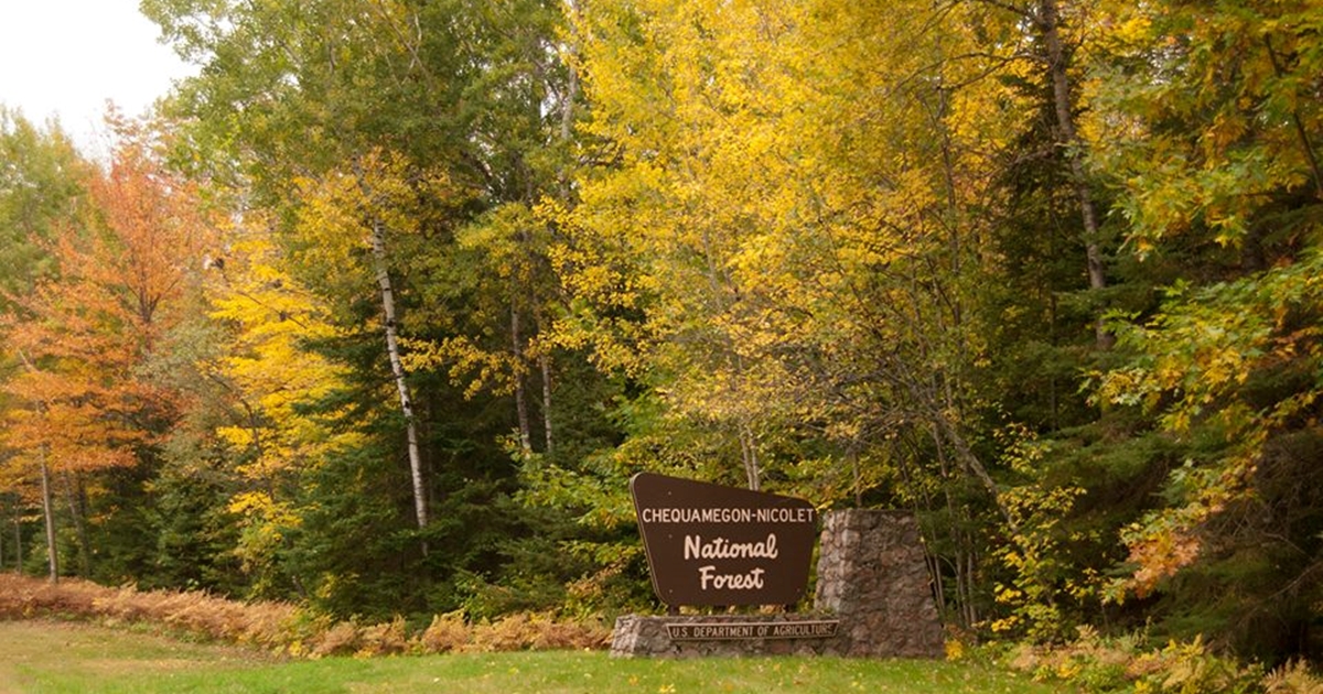 0fb6eb23-e16e-49a5-ac29-337d0b1edd34-chequamegon-nicolet-forest