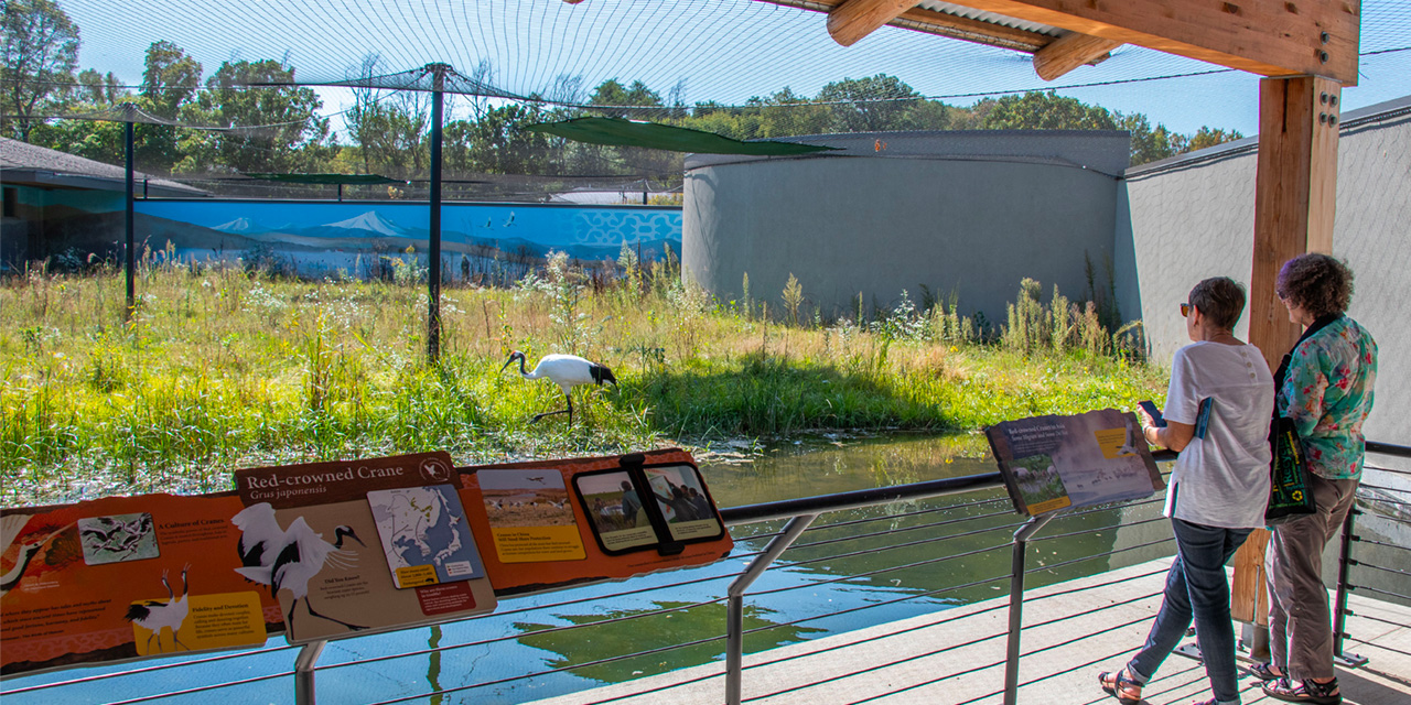 International-Crane-Foundation-Exhibit-Featured