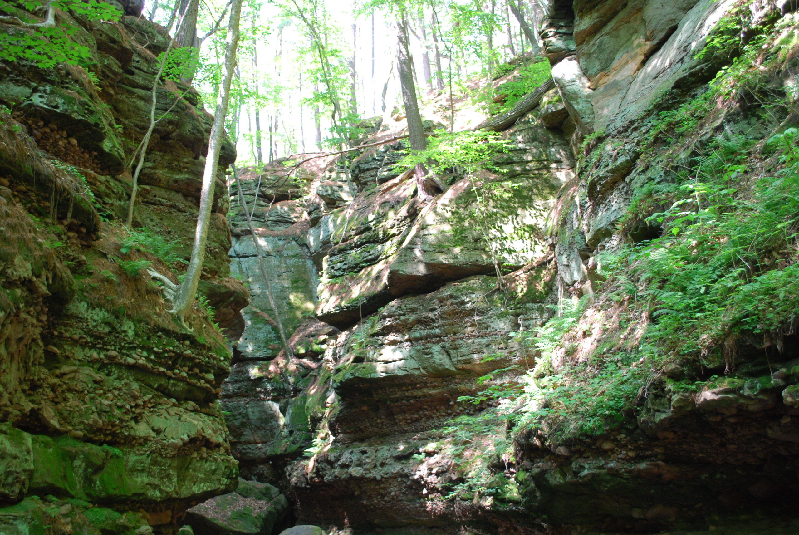 Parfrey's_Glen_Interior